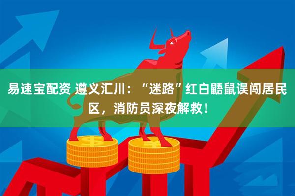 易速宝配资 遵义汇川：“迷路”红白鼯鼠误闯居民区，消防员深夜解救！
