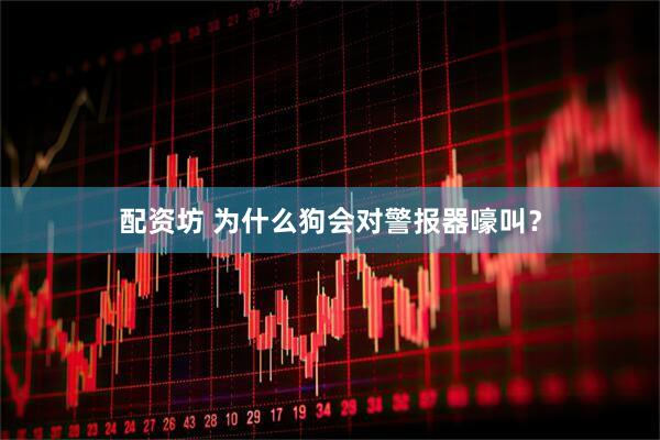 配资坊 为什么狗会对警报器嚎叫？